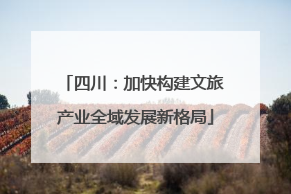四川：加快构建文旅产业全域发展新格局