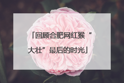 回顾合肥网红猴“大壮”最后的时光
