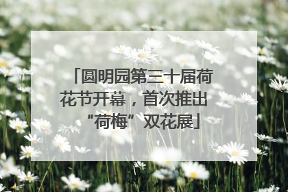 圆明园第三十届荷花节开幕，首次推出“荷梅”双花展