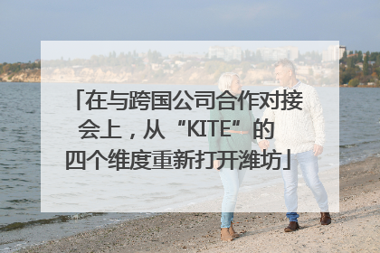 在与跨国公司合作对接会上，从“KITE”的四个维度重新打开潍坊