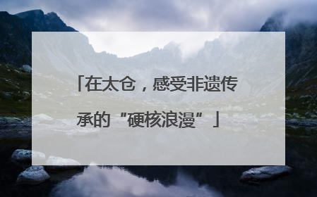 在太仓，感受非遗传承的“硬核浪漫”