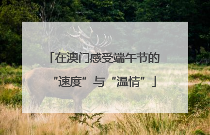 在澳门感受端午节的“速度”与“温情”