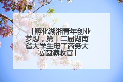 孵化湖湘青年创业梦想，第十二届湖南省大学生电子商务大赛圆满收官
