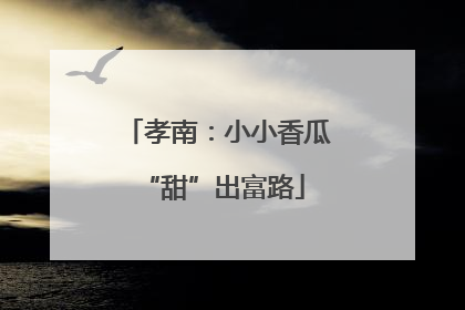 孝南：小小香瓜 “甜”出富路