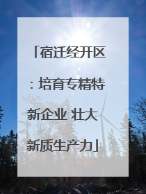 宿迁经开区：培育专精特新企业 壮大新质生产力