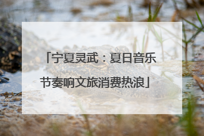 宁夏灵武：夏日音乐节奏响文旅消费热浪