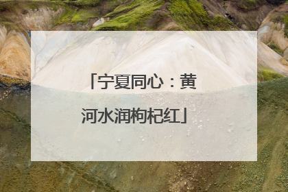 宁夏同心：黄河水润枸杞红