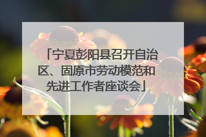 宁夏彭阳县召开自治区、固原市劳动模范和先进工作者座谈会