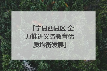 宁夏西夏区 全力推进义务教育优质均衡发展