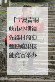 宁夏青铜峡市小坝镇先锋村葡萄整穗疏果技能竞赛举办