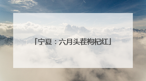 宁夏：六月头茬枸杞红