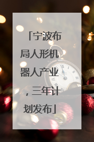 宁波布局人形机器人产业，三年计划发布