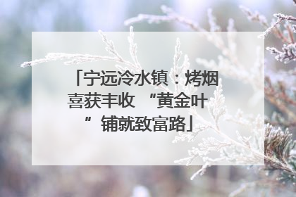 宁远冷水镇：烤烟喜获丰收 “黄金叶”铺就致富路