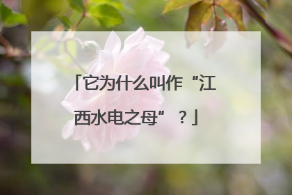 它为什么叫作“江西水电之母”？