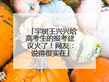 宇树王兴兴给高考生的报考建议火了！网友：说得很实在