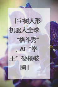 宇树人形机器人全球“格斗秀”，AI“拳王”硬核破圈