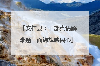 安仁县：干部真情解难题一面锦旗映民心