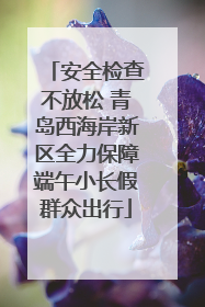 安全检查不放松 青岛西海岸新区全力保障端午小长假群众出行