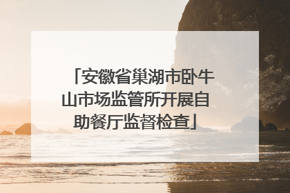 安徽省巢湖市卧牛山市场监管所开展自助餐厅监督检查