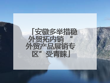 安徽多举措稳外贸拓内销 “外贸产品展销专区”受青睐