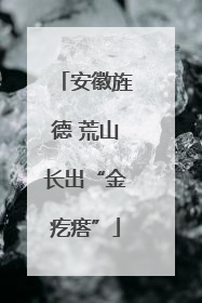 安徽旌德 荒山长出“金疙瘩”