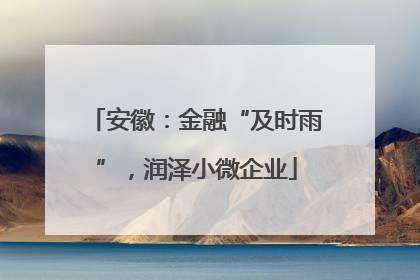 安徽：金融“及时雨”，润泽小微企业