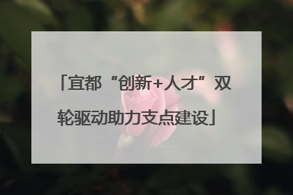 宜都“创新+人才”双轮驱动助力支点建设