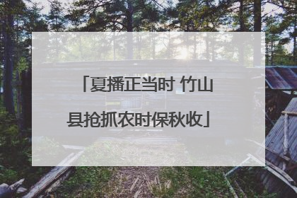 夏播正当时 竹山县抢抓农时保秋收