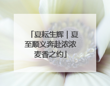夏耘生辉｜夏至顺义奔赴浓浓麦香之约