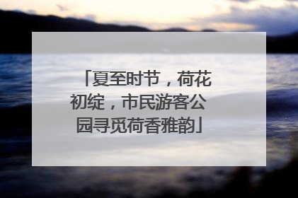夏至时节，荷花初绽，市民游客公园寻觅荷香雅韵