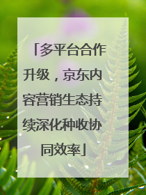 多平台合作升级，京东内容营销生态持续深化种收协同效率