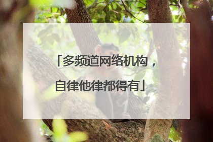 多频道网络机构，自律他律都得有