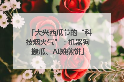 大兴西瓜节的“科技烟火气”：机器狗搬瓜、AI摊煎饼