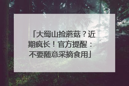 大蜀山捡蘑菇？近期疯长！官方提醒：不要随意采摘食用