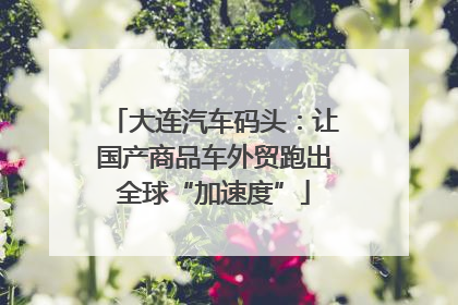 大连汽车码头：让国产商品车外贸跑出全球“加速度”