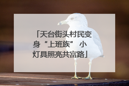 天台街头村民变身“上班族” 小灯具照亮共富路