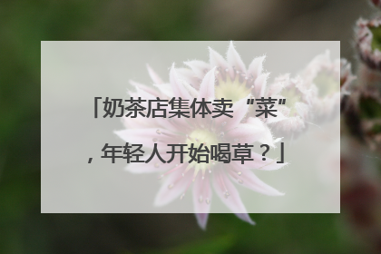 奶茶店集体卖“菜”，年轻人开始喝草？