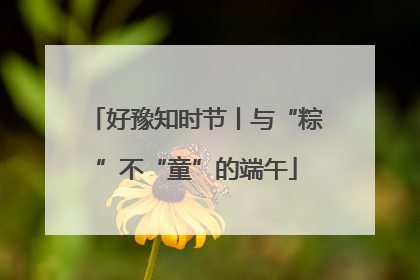 好豫知时节丨与“粽”不“童”的端午