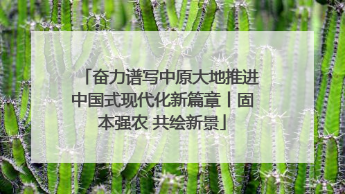 奋力谱写中原大地推进中国式现代化新篇章丨固本强农 共绘新景