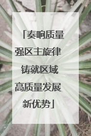 奏响质量强区主旋律 铸就区域高质量发展新优势