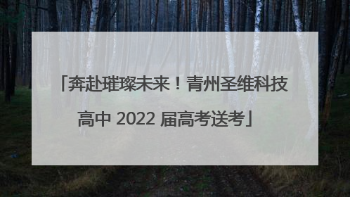 奔赴璀璨未来！青州圣维科技高中 2022 届高考送考