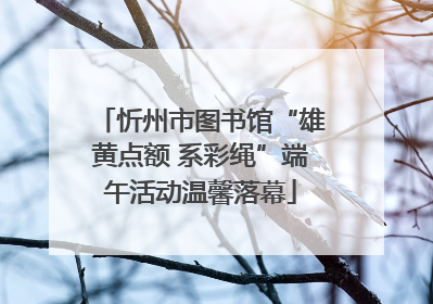 忻州市图书馆“雄黄点额 系彩绳”端午活动温馨落幕