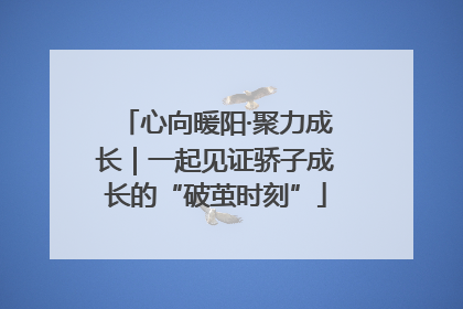 心向暖阳·聚力成长｜一起见证骄子成长的“破茧时刻”