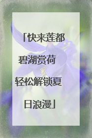 快来莲都碧湖赏荷 轻松解锁夏日浪漫
