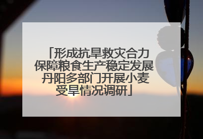 形成抗旱救灾合力 保障粮食生产稳定发展 丹阳多部门开展小麦受旱情况调研