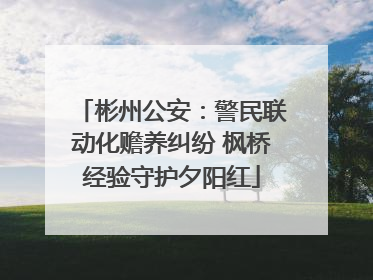 彬州公安：警民联动化赡养纠纷 枫桥经验守护夕阳红