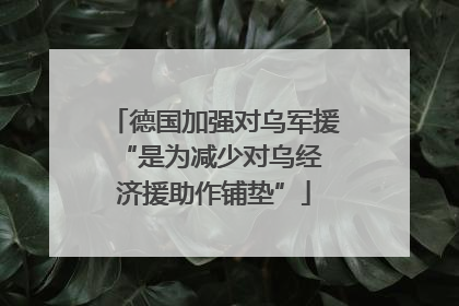 德国加强对乌军援 “是为减少对乌经济援助作铺垫”