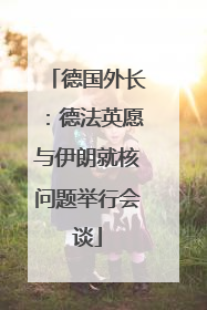德国外长：德法英愿与伊朗就核问题举行会谈