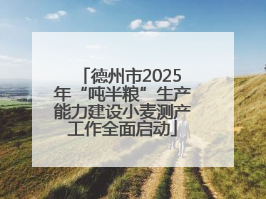 德州市2025年“吨半粮”生产能力建设小麦测产工作全面启动