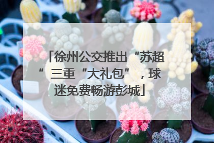 徐州公交推出“苏超”三重“大礼包”，球迷免费畅游彭城